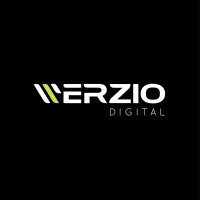 Werzio Digital logo - Similar company to Huemono