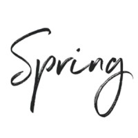 Spring Interactive logo - Similar company to Super Interactive