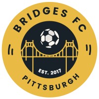 Bridges Football Club logo - Similar company to Views Football Club