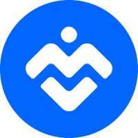 Mindview logo - Similar company to Bondi