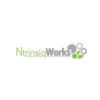 Ntrinsiq Works® logo - Similar company to Ntrinsx