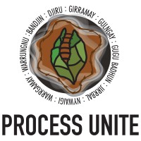 Process Unite logo - Similar company to Ochre Social Performance