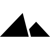 Momentum Consulting logo - Similar company to Growth Vanguard
