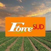 FORCE SUD logo - Similar company to Association Interprofessionnelle Melon - Aim