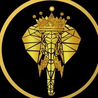 Royal Magneto logo - Similar company to Auditgear