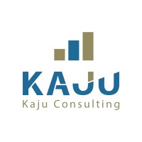 Kaju Consulting logo - Similar company to Shipdip