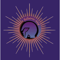 Bellatrix-HRM, Inc logo - Similar company to Janus Andersen