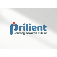 Prilient Technologies Pvt. Ltd. logo - Similar company to Pizone Infotech Solution Pvt Ltd
