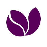 Violet Academy logo - Similar company to Print-Pdf.Com
