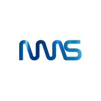 NMSware Technologies logo - Similar company to Webideas4U
