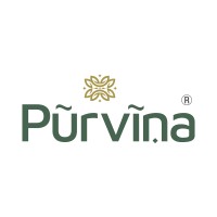 Purvina logo - Similar company to Aurik.Studio