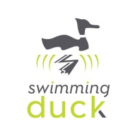Swimming Duck