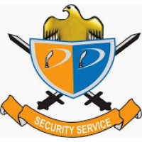 DD SECURITY SERVICE PVT. LTD. logo - Similar company to Seven Seas Intercontinental Services Pvt. Ltd.