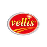 VELLIS SA logo - Similar company to Vellis