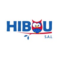 HIBOU S.A.L logo - Similar company to Treco Net