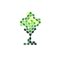 Fortune Trading LLC logo - Similar company to Regio Express