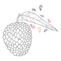Litchi Marketing (PTY) Ltd logo - Similar company to Mmi