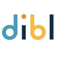 DiBL logo - Similar company to Gametools
