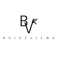 Boise Views logo - Similar company to Cbi Security Services