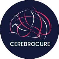Cerebrocure Technologies Pvt Ltd logo - Similar company to The Techbits