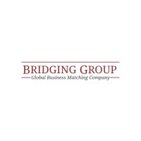 Bridging Group Korea logo - Similar company to Creatip
