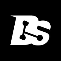 Bridges Solutions LLC logo - Similar company to Fdh Ltd