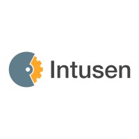 Intusen logo - Similar company to Sabedoria.Team