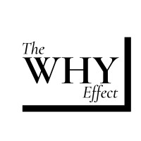 The Why Effect logo - Similar company to Thriiver (Pty) Ltd