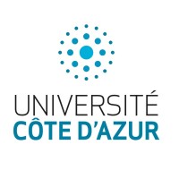Institut 3IA Côte d'Azur