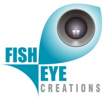 Fish Eye Creations logo - Similar company to Eklavyam Foundation