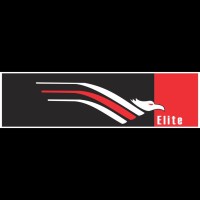 Elite Securitas Private Limited logo - Similar company to Eagle Hunter Solutions Limited