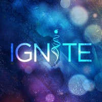 Ignite You