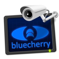 Bluecherry logo - Similar company to Kliger-Weiss Infosystems, Inc.