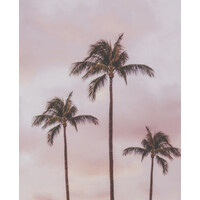 Caribbeanie