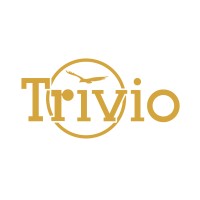 Grupo Trivio logo - Similar company to Grupo Trivio