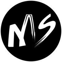 MS Pakistan logo - Similar company to Global It Solutions