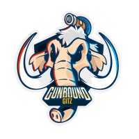 Gunbound GITZ World Champion logo - Similar company to Mediabox Lab