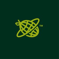 Global Olive Corporation logo - Similar company to Paaia (Public Affairs Alliance Of Iranian Americans)