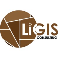 LiGIS Consulting logo - Similar company to Techpreneur School