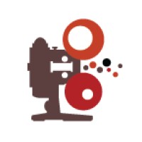 Projection Creative