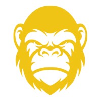 Monkey Studio | Design & Web logo - Similar company to Bolano Criações
