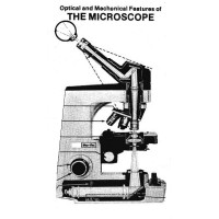 MAGNIFIED PICTURES LIMITED logo - Similar company to Raising Films
