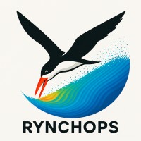 Rynchops logo - email format related to Nabla