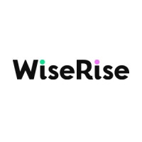 WiseRise logo - Similar company to Fractional Architect