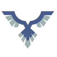Vanguard Cyber logo - Similar company to Netranom