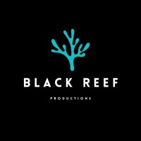 BlackReef Productions logo - Similar company to Hvg Makelaars