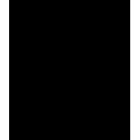 . logo - Similar company to Misa Csun