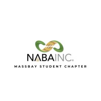 Naba MassBay Student Chapter logo - Similar company to Naba Inc Boston Chapter