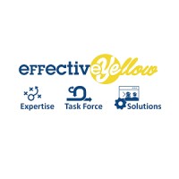EFFECTIVE YELLOW Cybersecurity, Serenity and Lucidity for Managers logo - Similar company to Visionarypoint