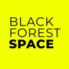 BLACKFORESTSPACE logo - Similar company to Blackforestbytes Gmbh